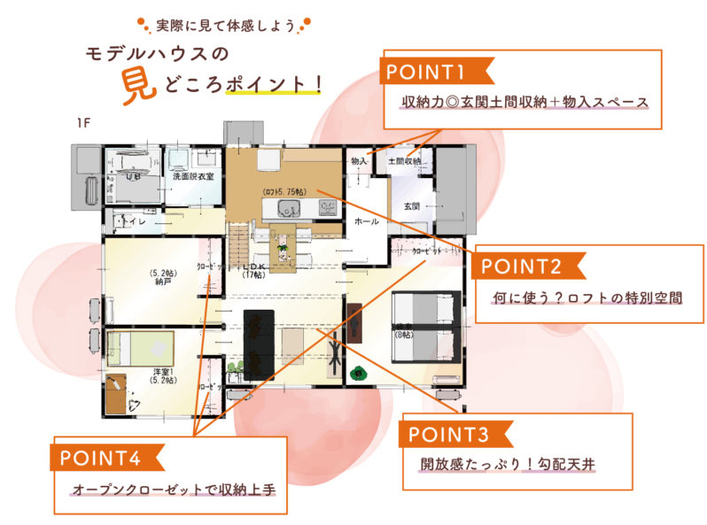 ルーツガーデン十川10号地ポイント